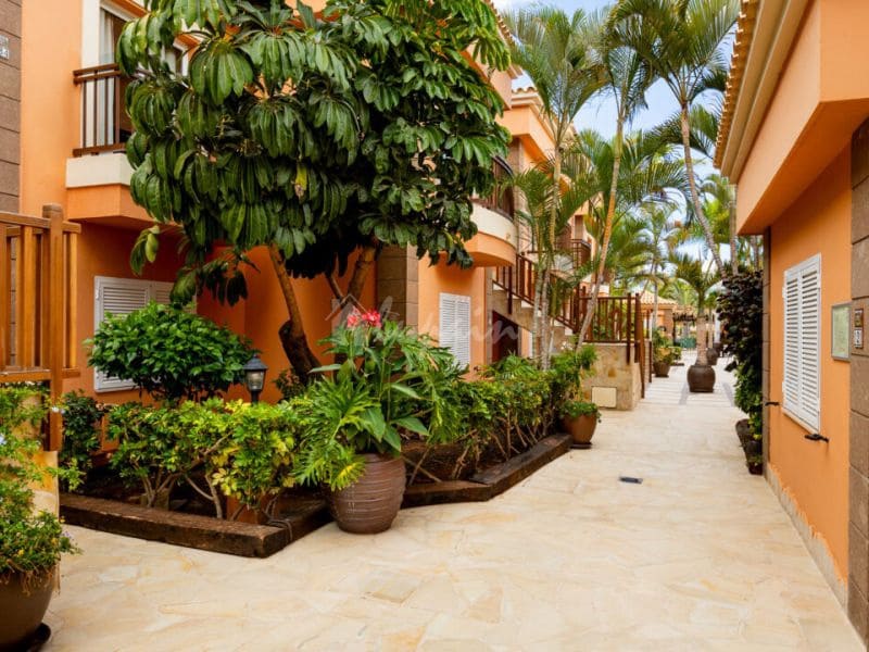 1 Zimmer Apartment zu verkaufen in Playa de las Americas mit Pool - 330.000 € (Ref: 9472763)