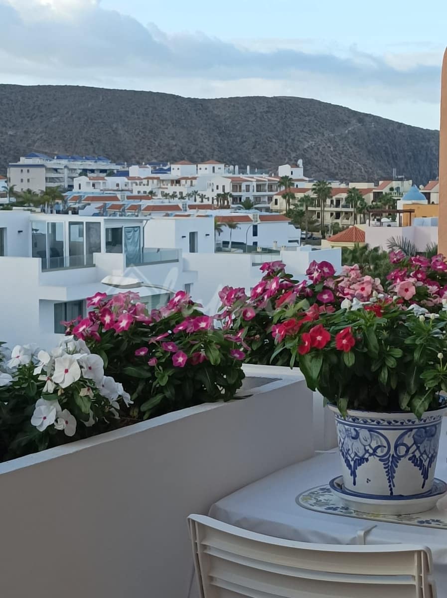 1 makuuhuone Kattohuoneisto myytävänä paikassa Los Cristianos mukana uima-altaan - 329 950 € (Ref: 9564942)