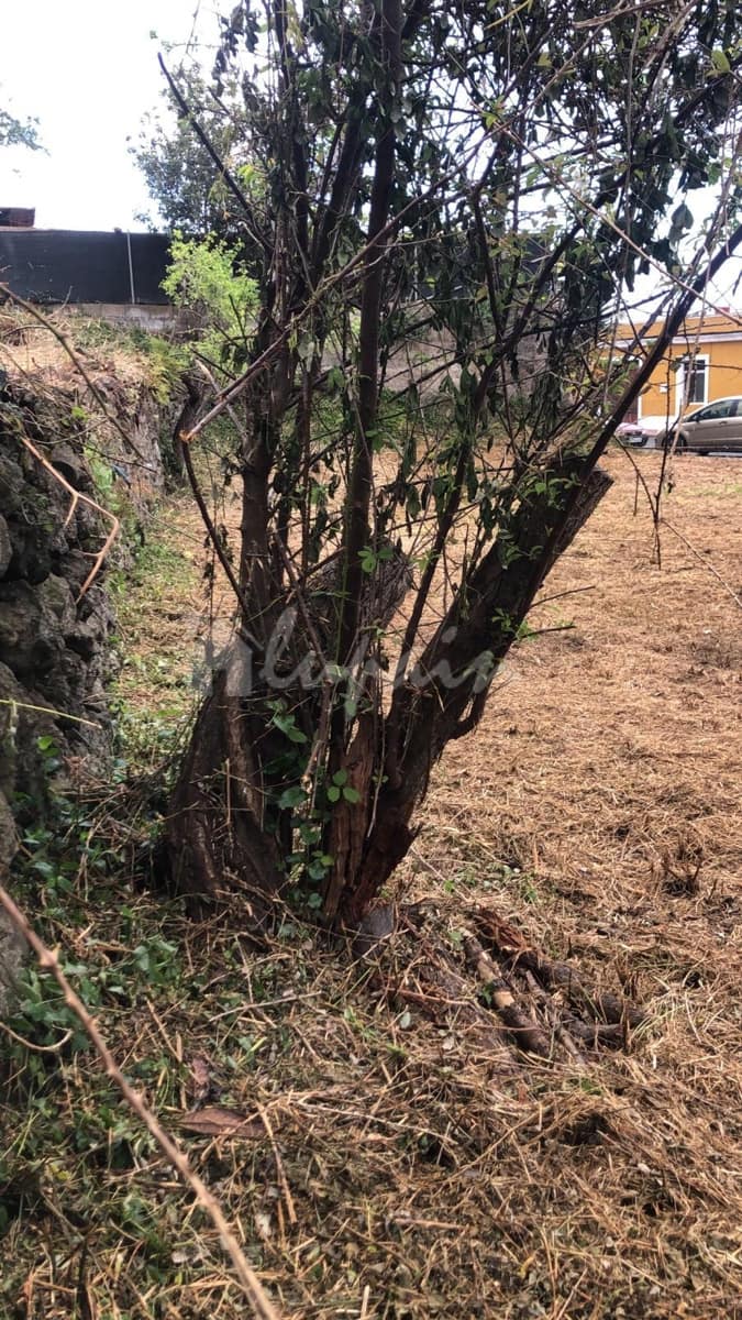 Grond te koop in El Tanque - € 145.000 (Ref: 9590435)