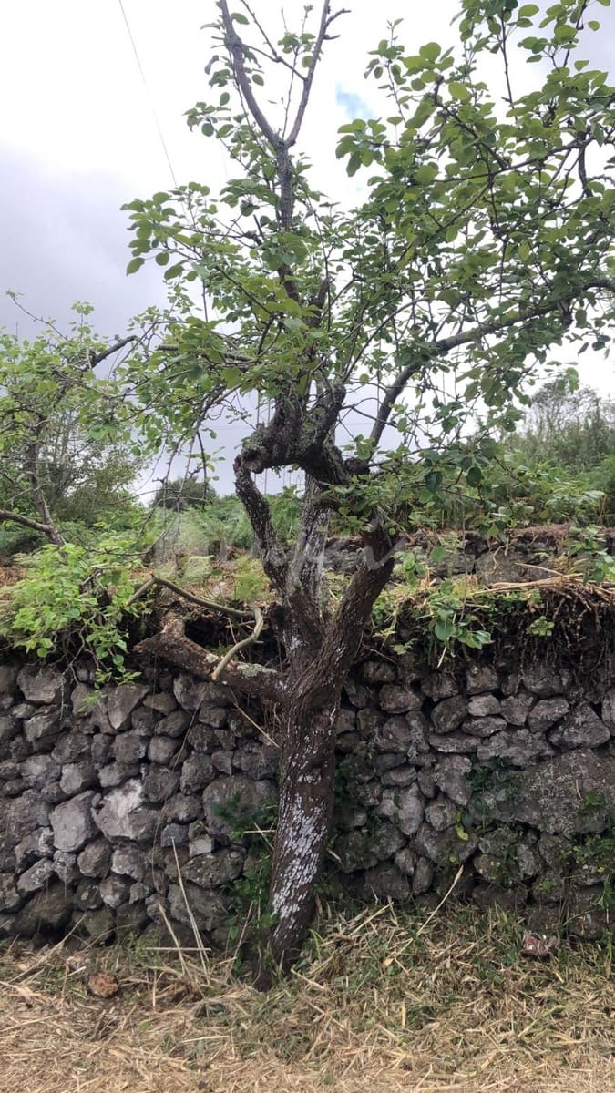 Grond te koop in El Tanque - € 145.000 (Ref: 9590435)