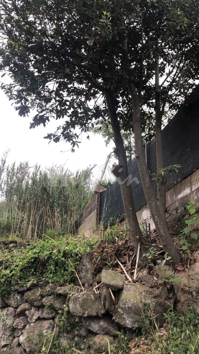 Grond te koop in El Tanque - € 145.000 (Ref: 9590435)