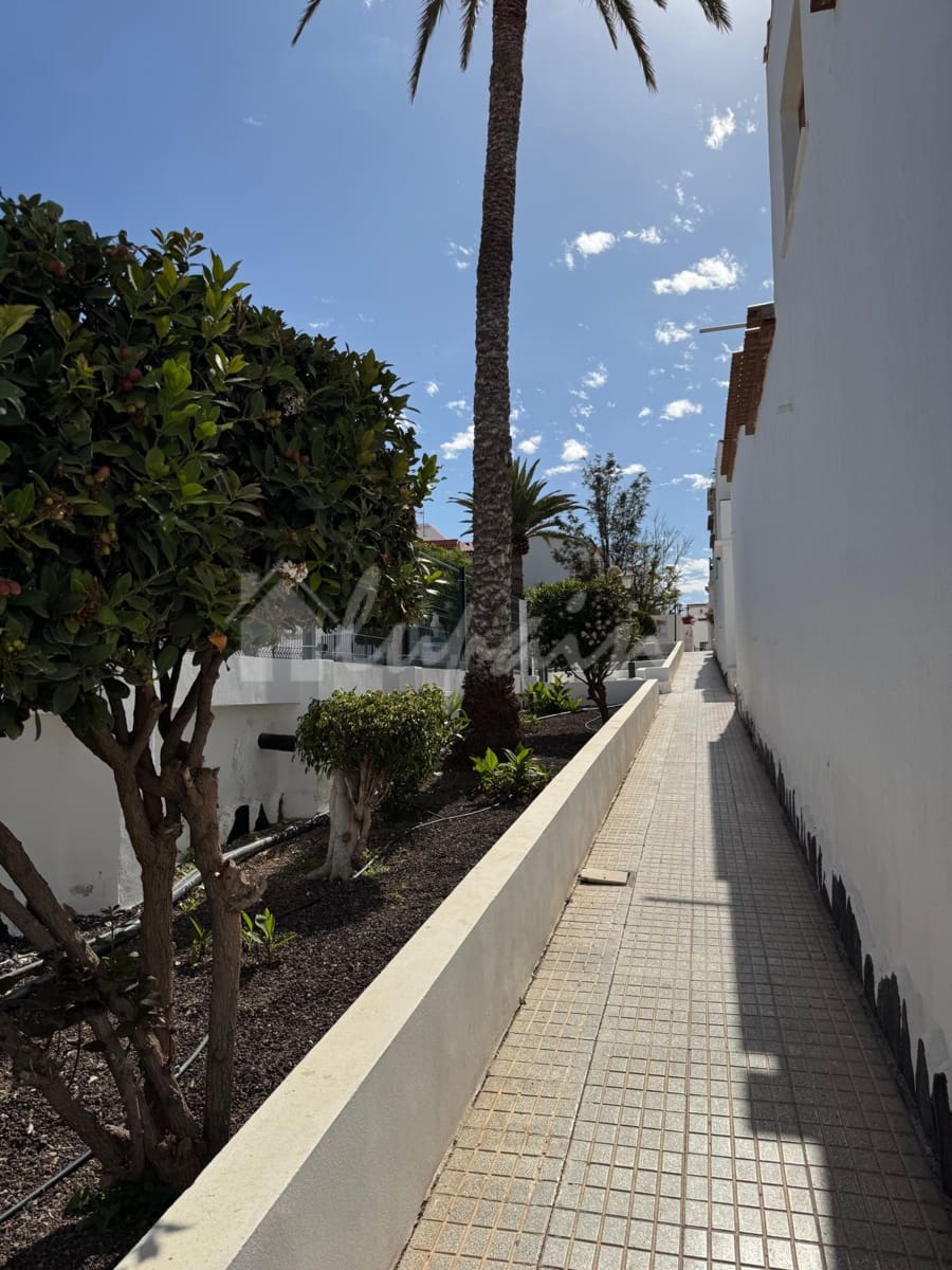 1 Zimmer Bungalow zu verkaufen in Costa del Silencio mit Pool - 189.000 € (Ref: 9777226)