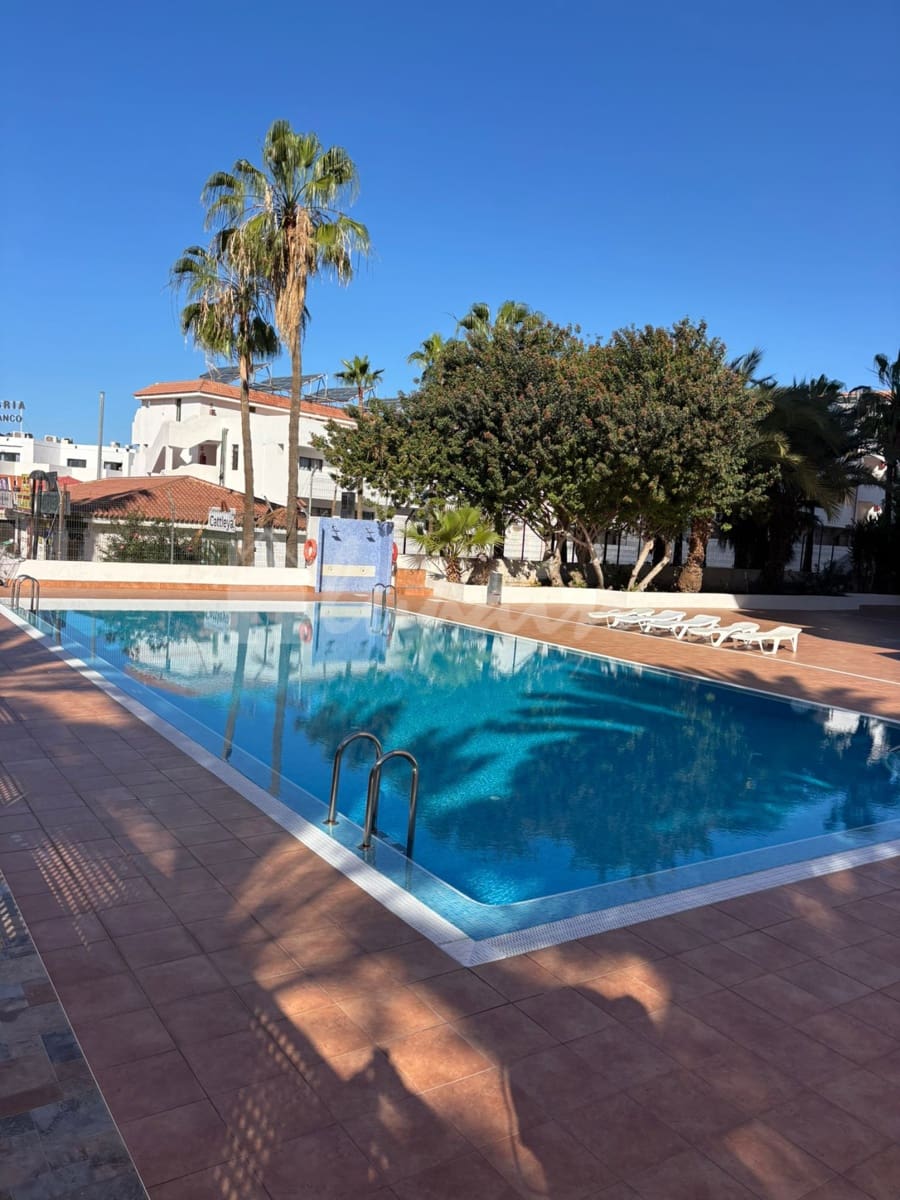 1 chambre Appartement à vendre à Playa de las Americas avec piscine - 299 000 € (Ref: 9789737)