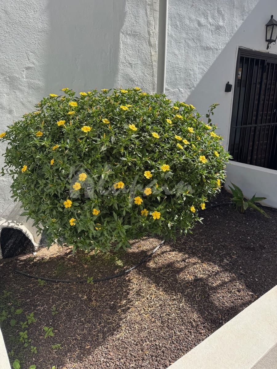 2 bedroom Bungalow for sale in Costa del Silencio with pool - € 210,000 (Ref: 9789739)