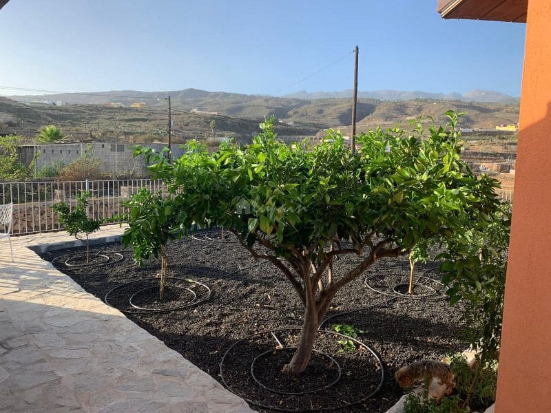 7 sovrum Finca/Hus på landet till salu i El Roque med pool garage - 1 300 000 € (Ref: 9802931)