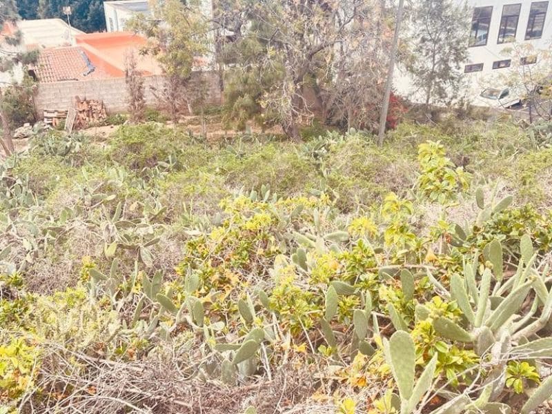 Landgrundstück zu verkaufen in Arona - 110.000 € (Ref: 9802932)