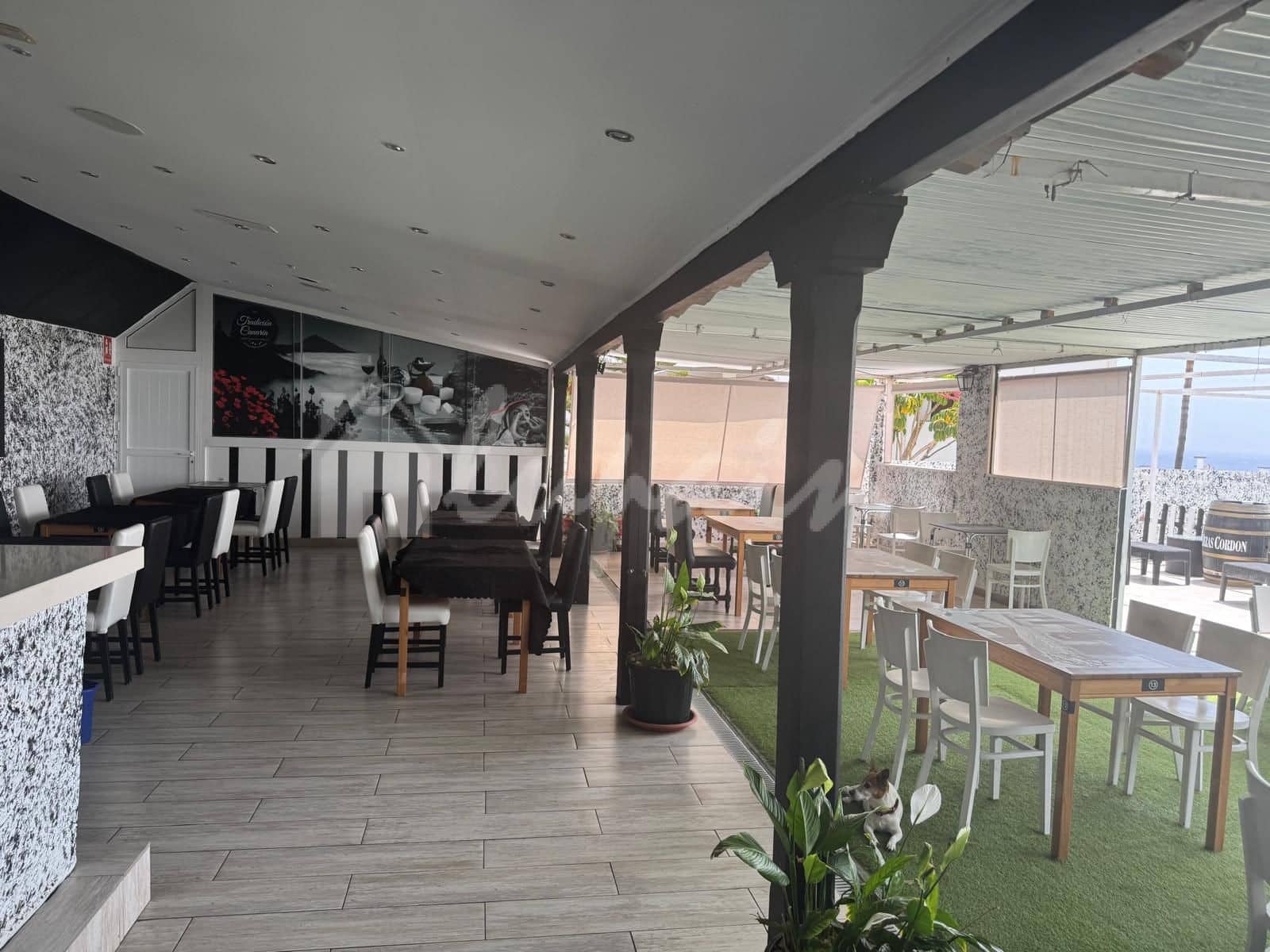 Business for sale in Costa del Silencio - € 30,000 (Ref: 9810794)