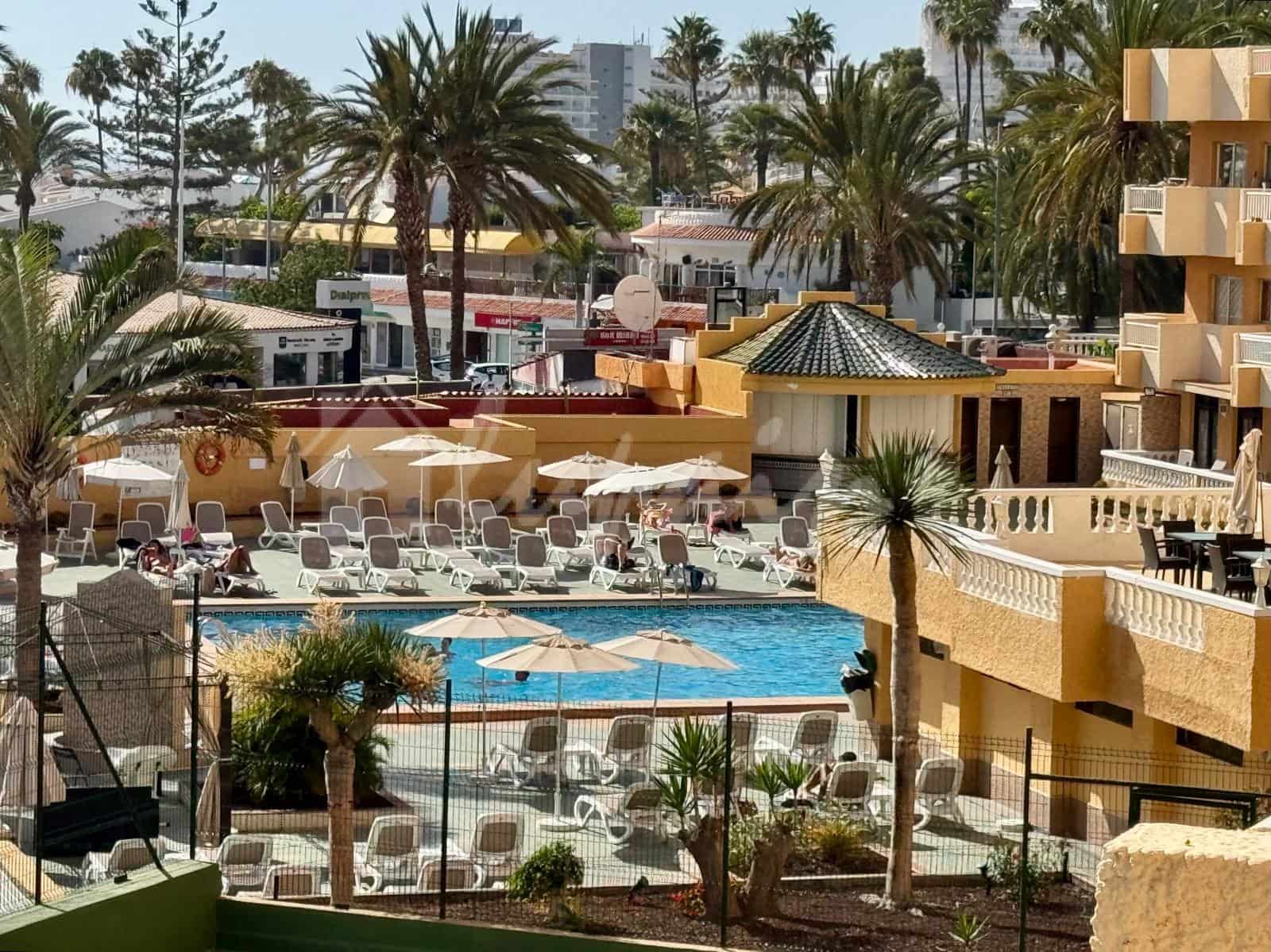 Studio te koop in Playa de las Americas met zwembad - € 259.000 (Ref: 9898356)