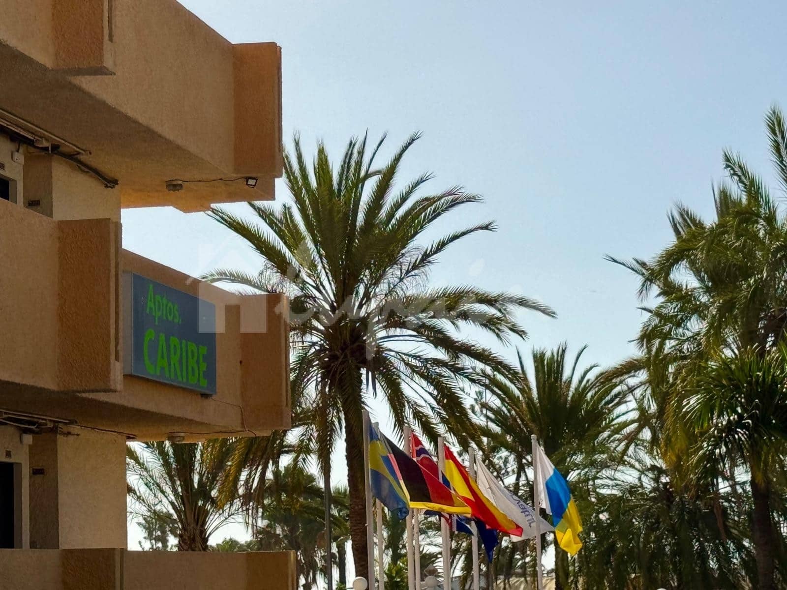 Studio te koop in Playa de las Americas met zwembad - € 259.000 (Ref: 9898356)