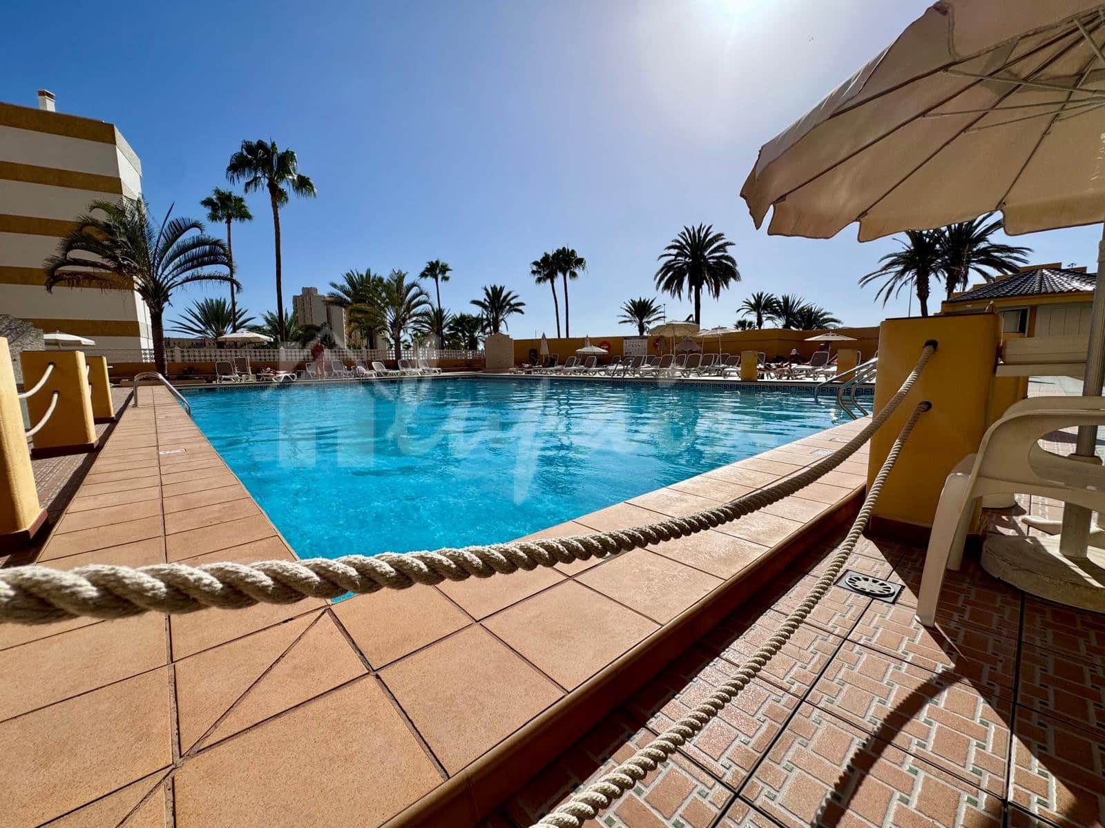 Studio te koop in Playa de las Americas met zwembad - € 259.000 (Ref: 9898356)