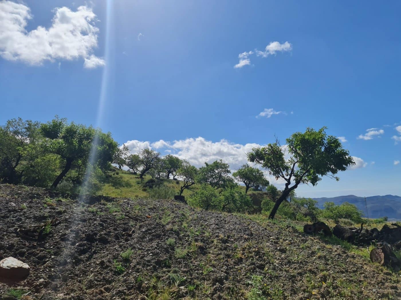 Quinta/Casa Rural para venda em Mairena - 8 000 € (Ref: 6251642)