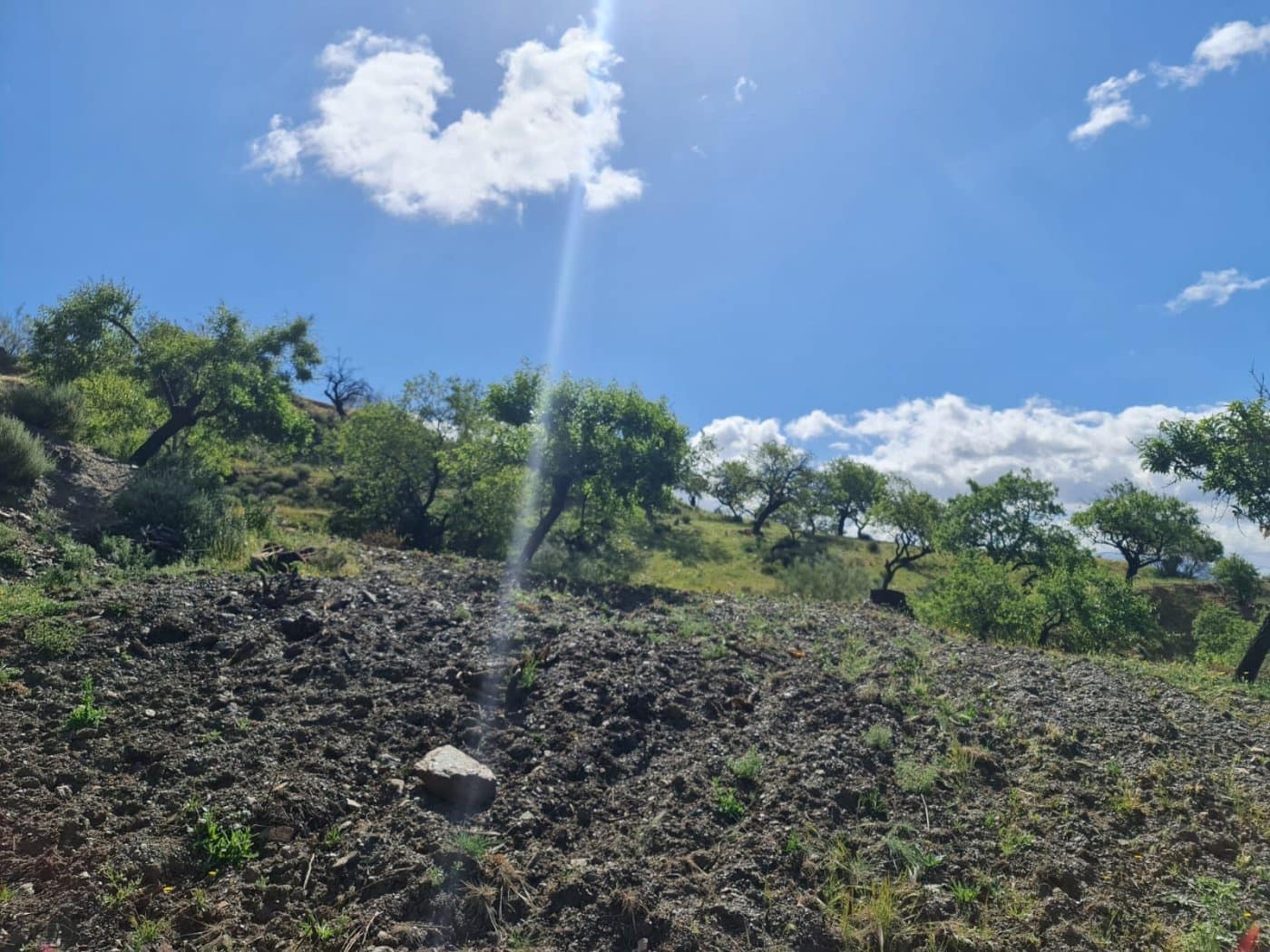 Quinta/Casa Rural para venda em Mairena - 8 000 € (Ref: 6251642)