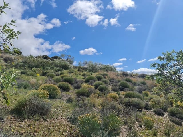 Finca/Landehus til salg i Mairena, Nevada - € 8.000 (Ref: 6251642)