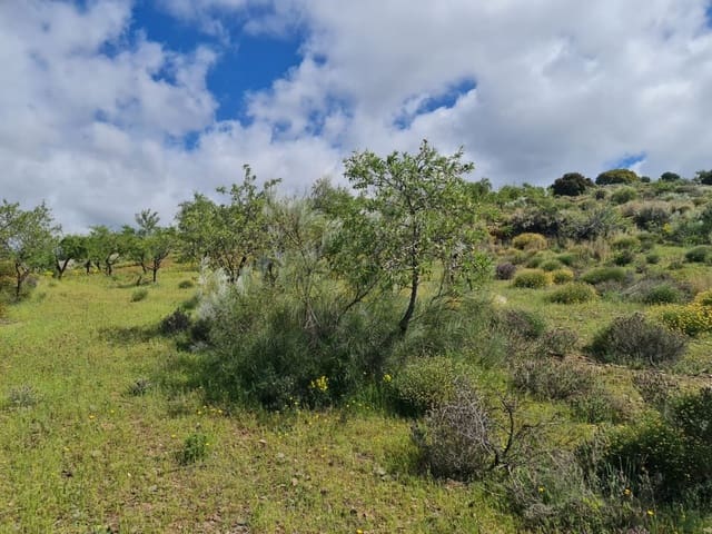 Finca/Landehus til salg i Mairena, Nevada - € 8.000 (Ref: 6251642)