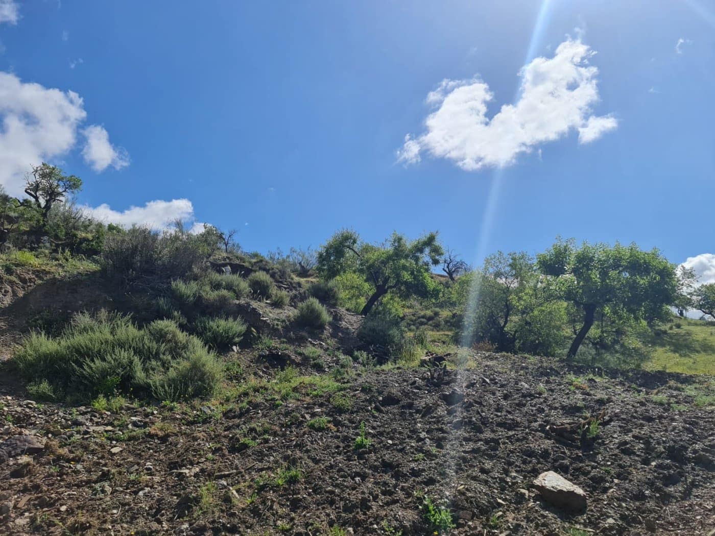 Quinta/Casa Rural para venda em Mairena - 8 000 € (Ref: 6251642)