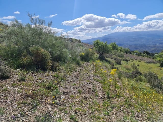 Finca/Landehus til salg i Mairena, Nevada - € 8.000 (Ref: 6251642)