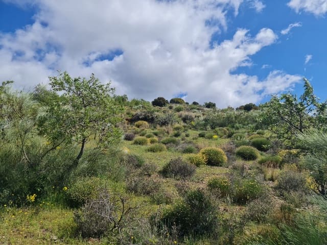 Finca/Landehus til salg i Mairena, Nevada - € 8.000 (Ref: 6251642)