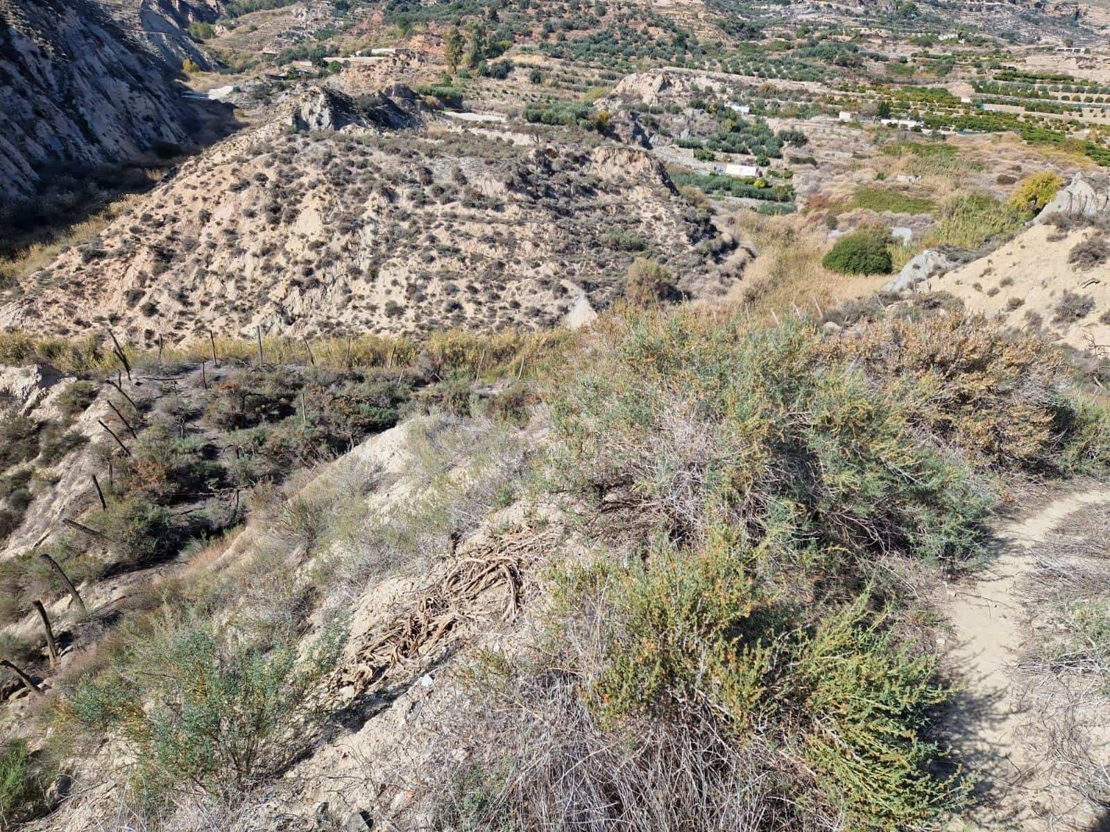 Grunde uden byggetilladelser til salg i Canjayar - € 29.000 (Ref: 8055117)