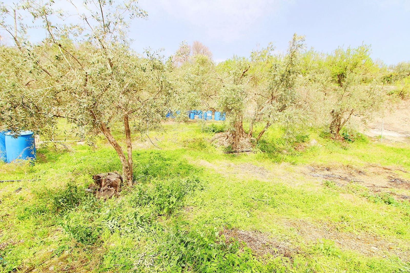 Ubebygd land til salgs i Granada by - € 44 950 (Ref: 8201905)