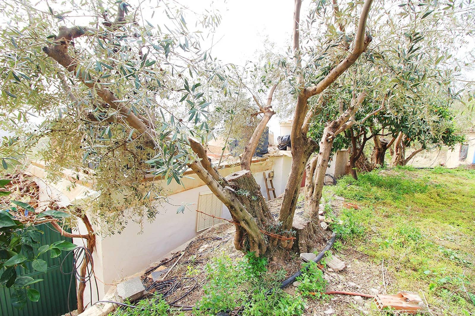 Ubebygd land til salgs i Granada by - € 44 950 (Ref: 8201905)