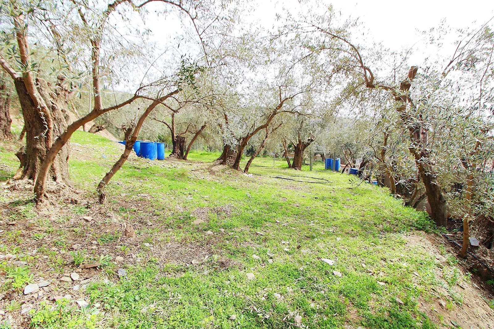 Ubebygd land til salgs i Granada by - € 44 950 (Ref: 8201905)