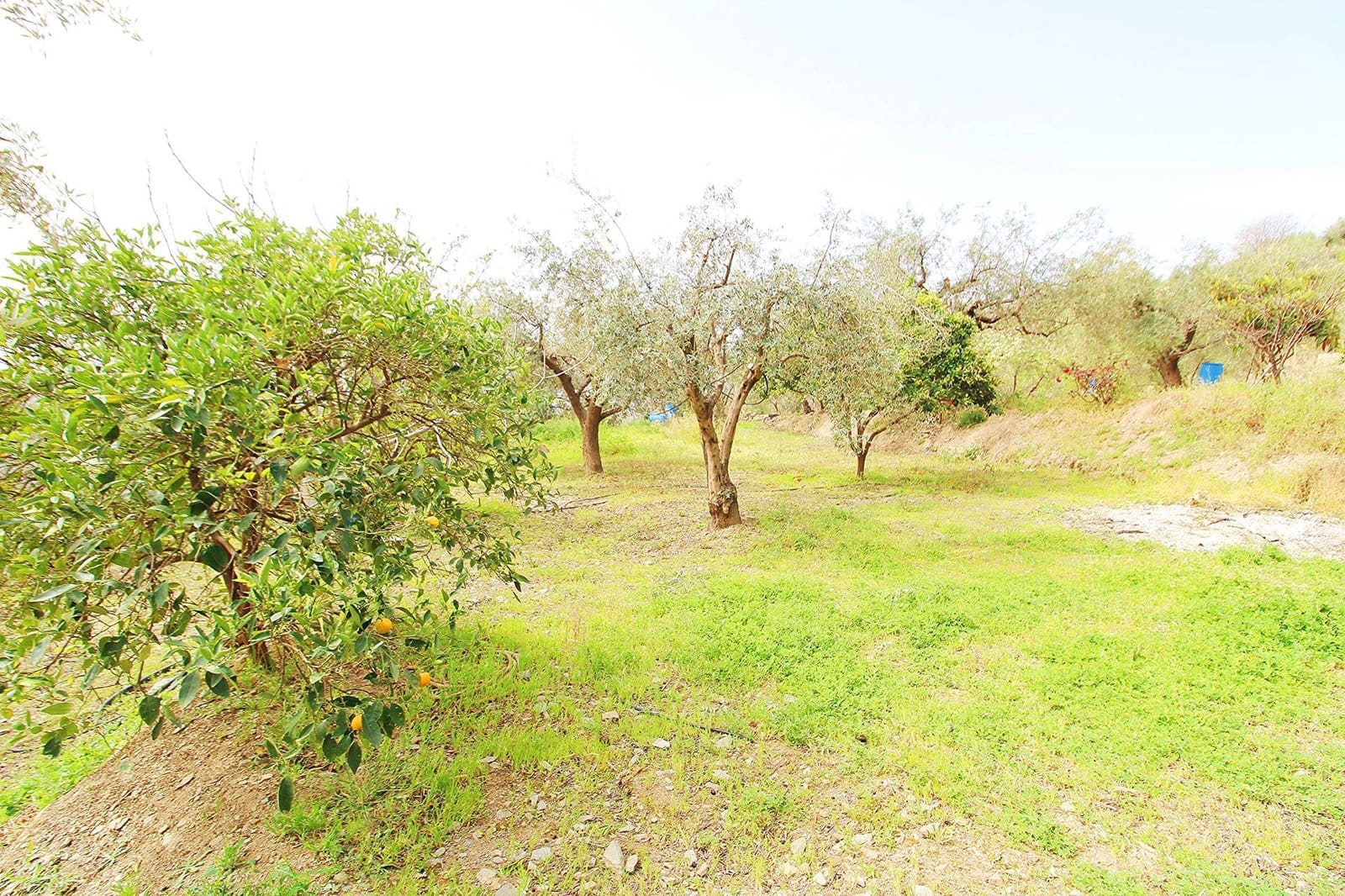 Ubebygd land til salgs i Granada by - € 44 950 (Ref: 8201905)