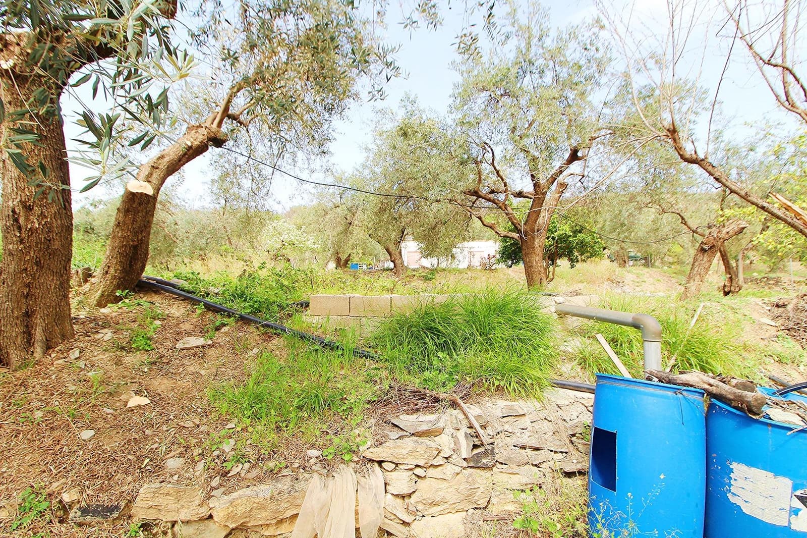 Ubebygd land til salgs i Granada by - € 44 950 (Ref: 8201905)