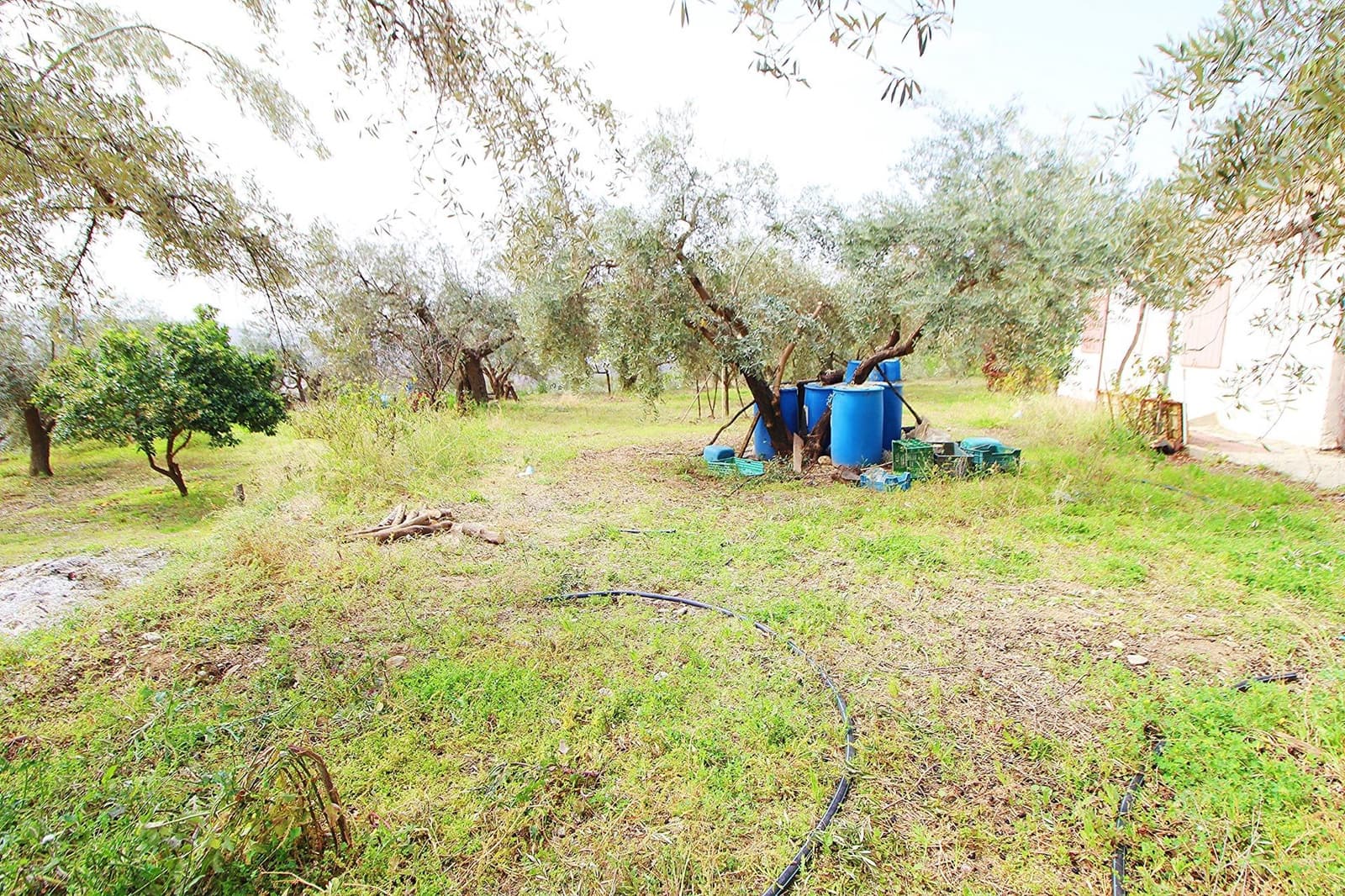 Ubebygd land til salgs i Granada by - € 44 950 (Ref: 8201905)