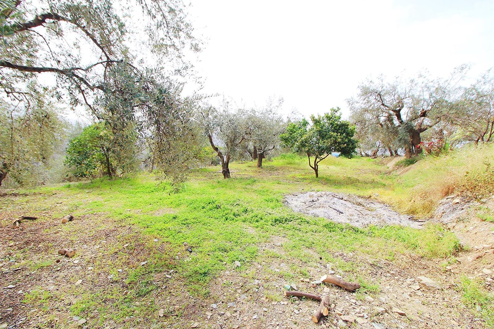 Ubebygd land til salgs i Granada by - € 44 950 (Ref: 8201905)