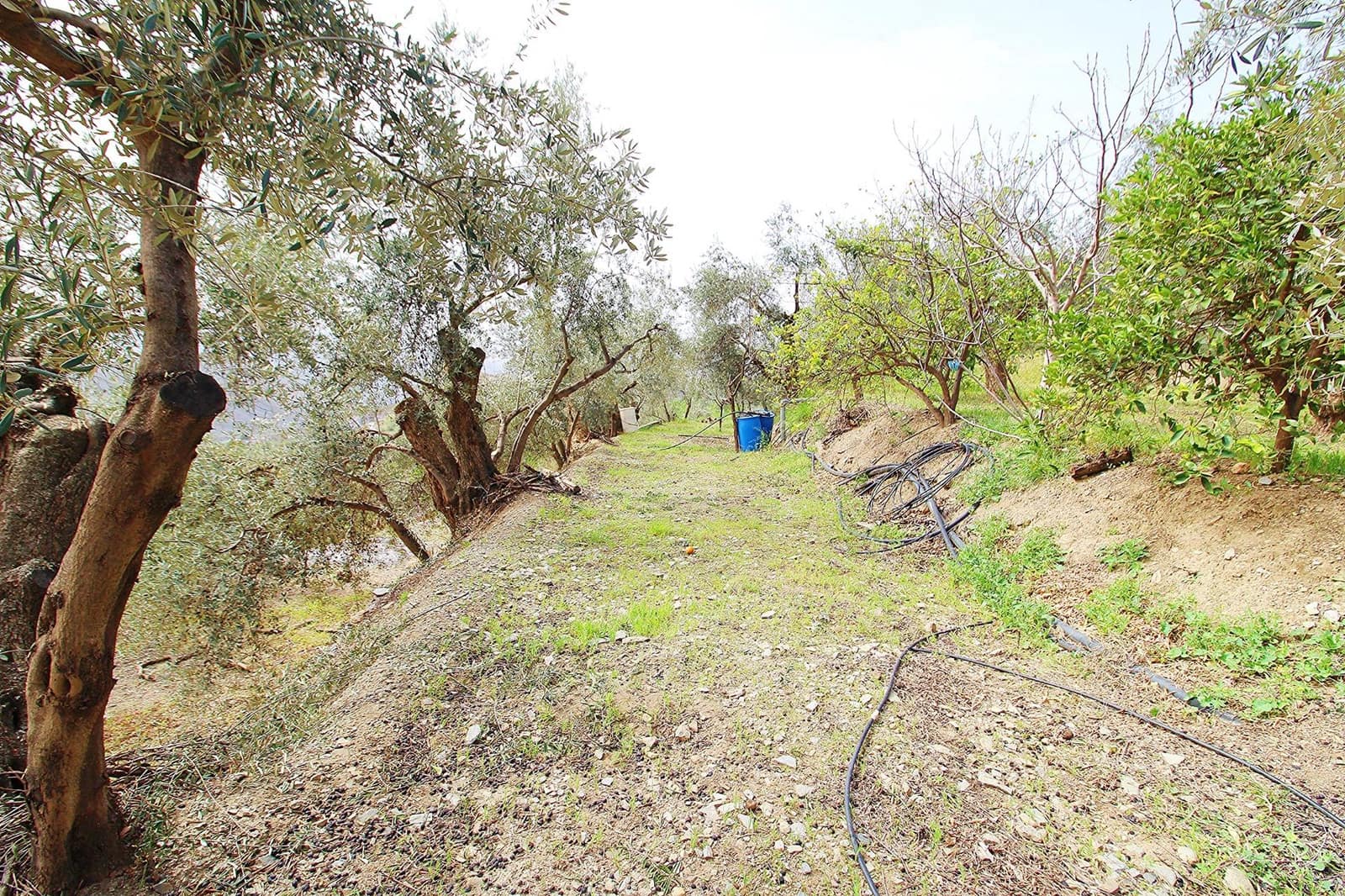 Ubebygd land til salgs i Granada by - € 44 950 (Ref: 8201905)