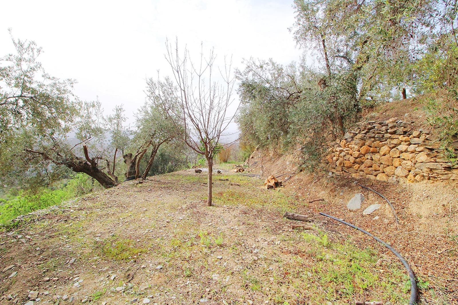 Ubebygd land til salgs i Granada by - € 44 950 (Ref: 8201905)