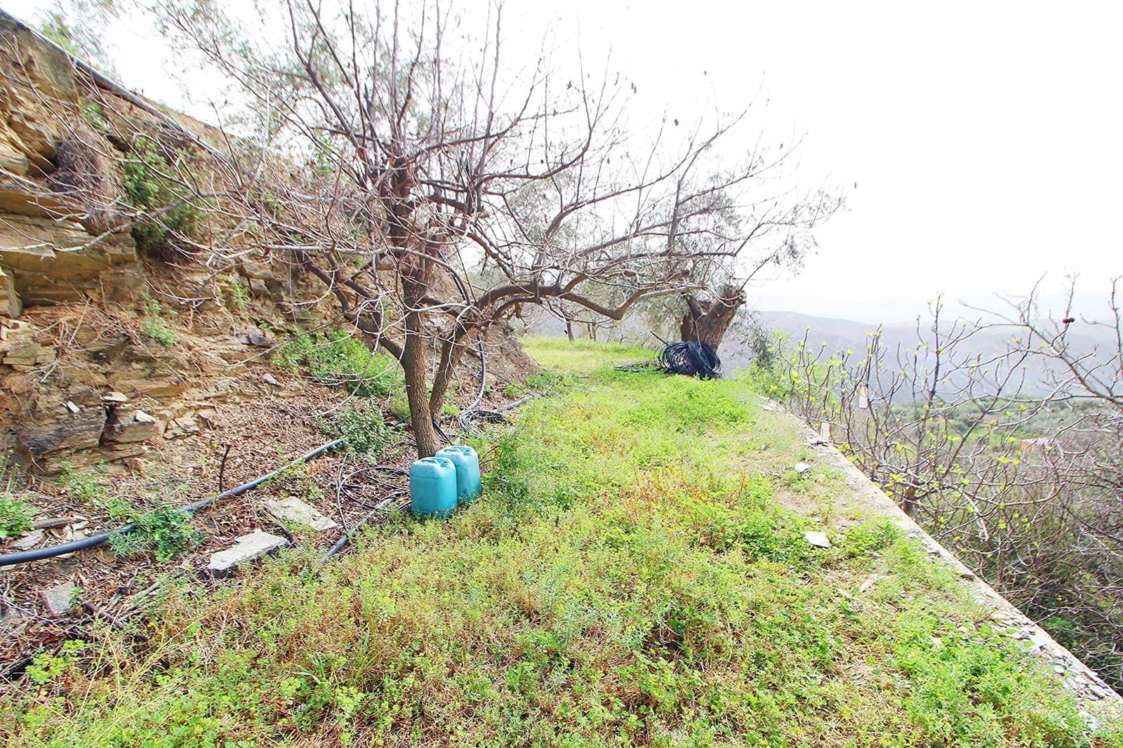 Ubebygd land til salgs i Granada by - € 44 950 (Ref: 8201905)