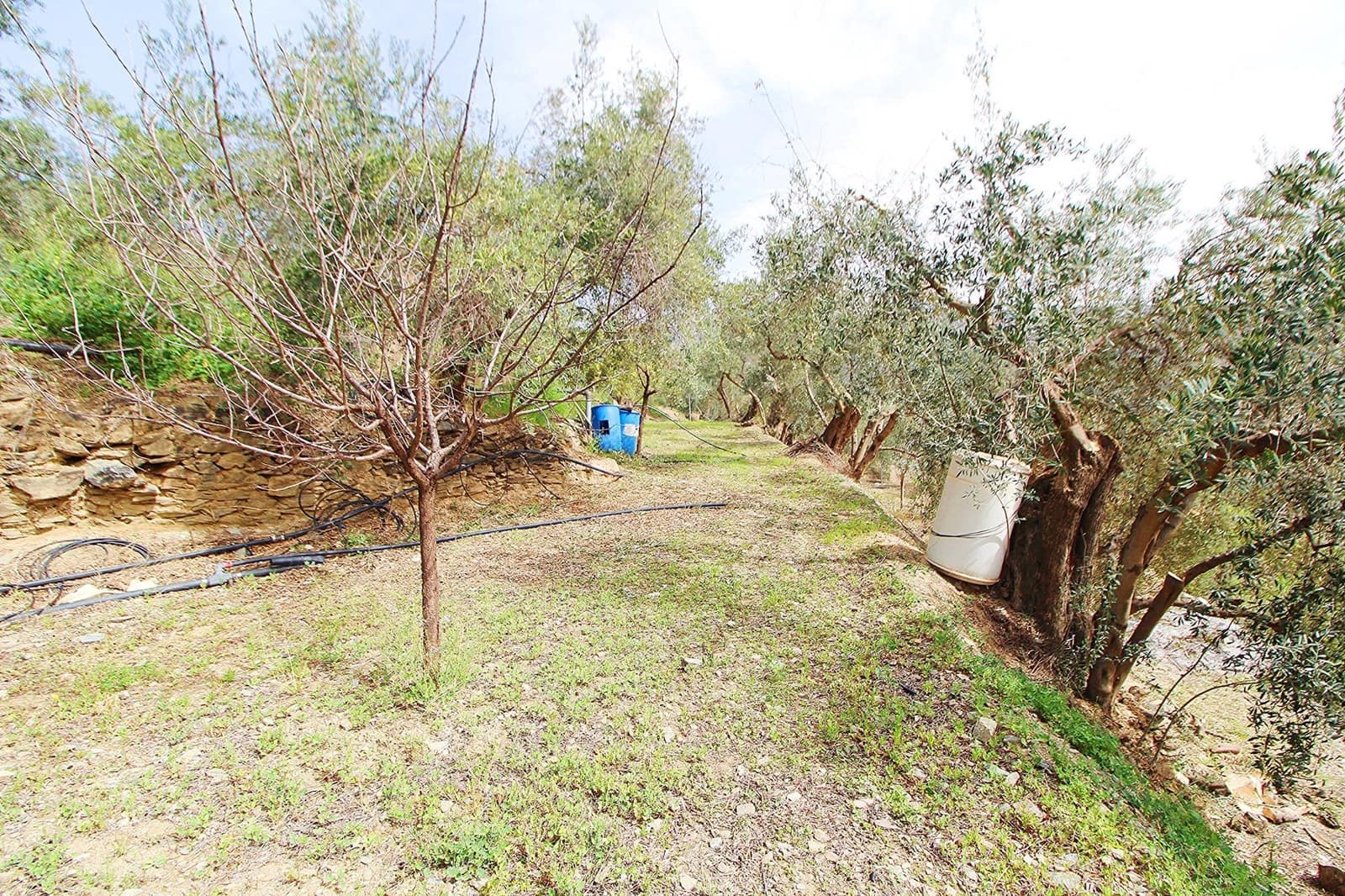 Ubebygd land til salgs i Granada by - € 44 950 (Ref: 8201905)