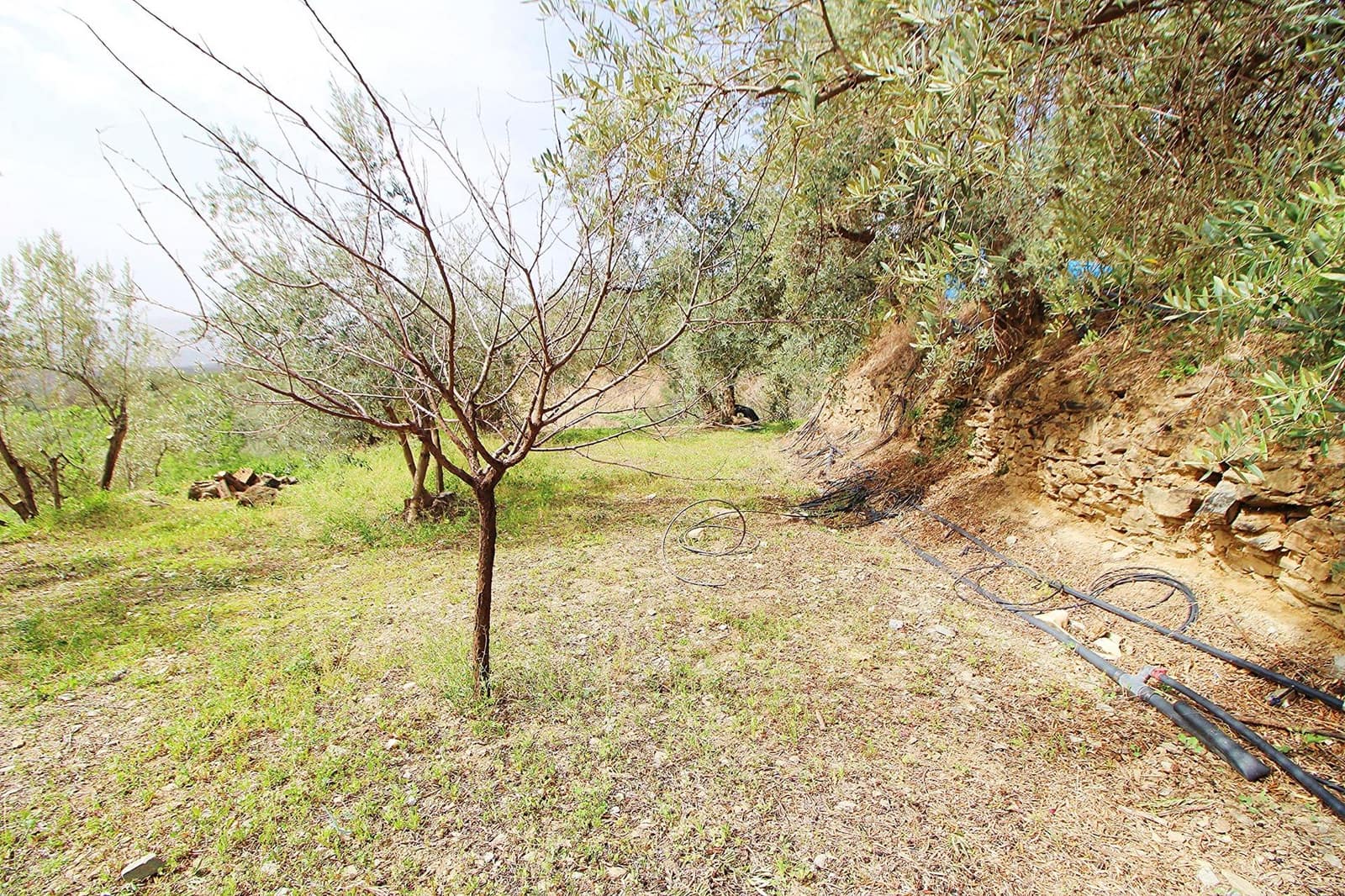 Ubebygd land til salgs i Granada by - € 44 950 (Ref: 8201905)