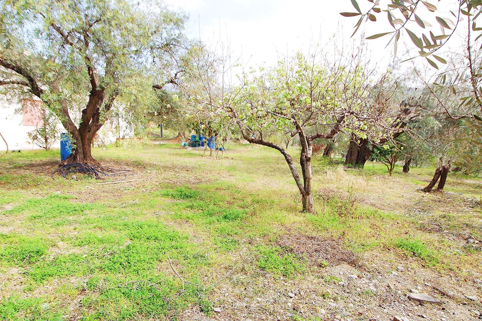 Ubebygd land til salgs i Granada by - € 44 950 (Ref: 8201905)