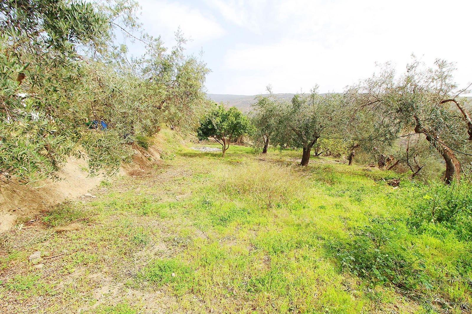 Ubebygd land til salgs i Granada by - € 44 950 (Ref: 8201905)