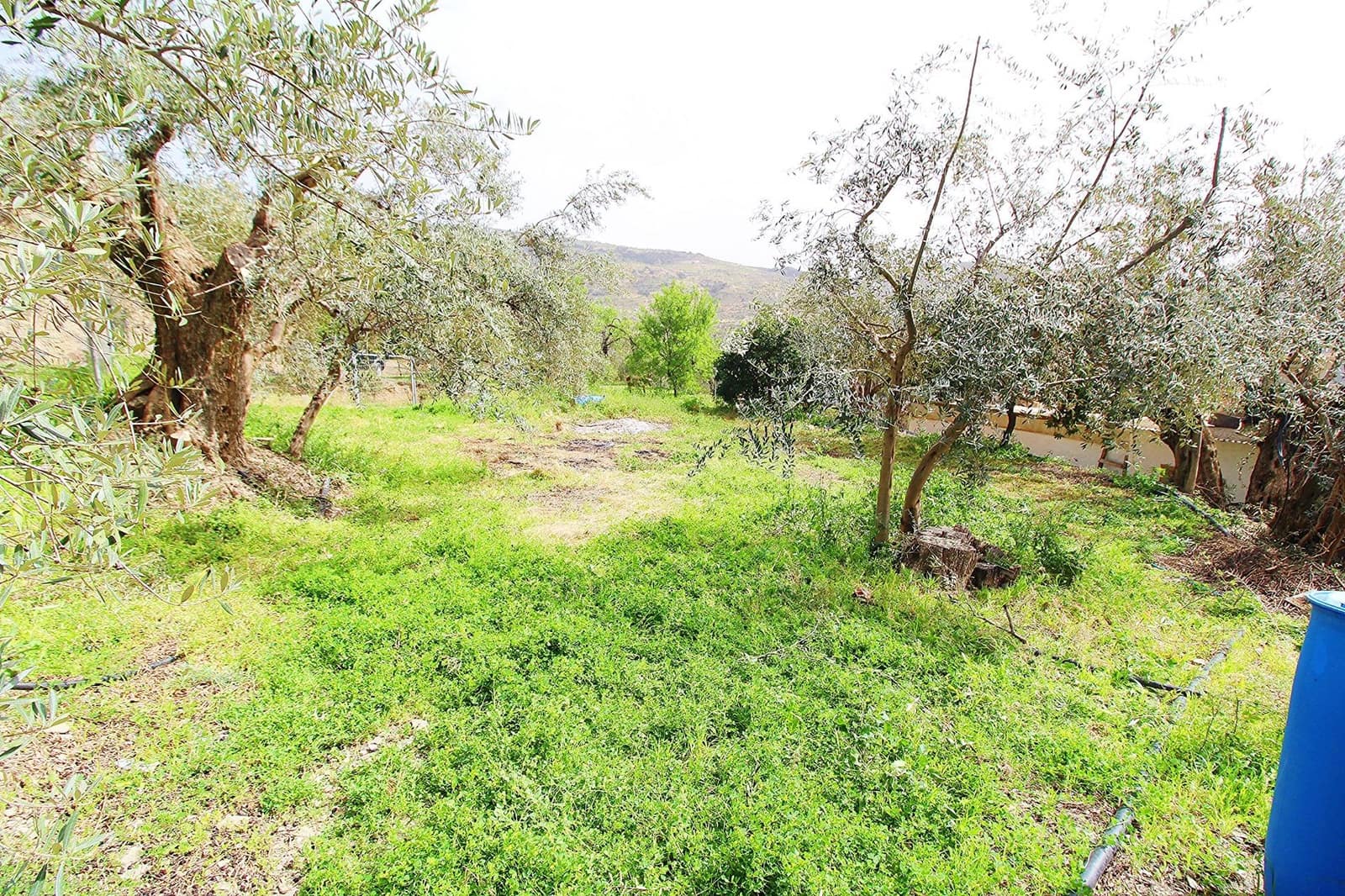 Ubebygd land til salgs i Granada by - € 44 950 (Ref: 8201905)