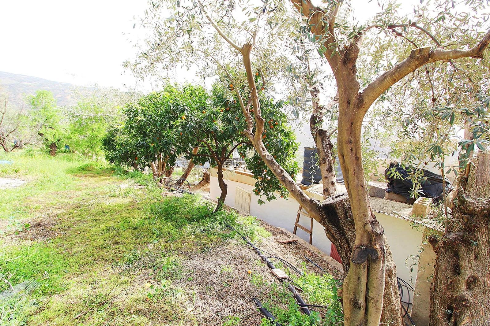 Ubebygd land til salgs i Granada by - € 44 950 (Ref: 8201905)