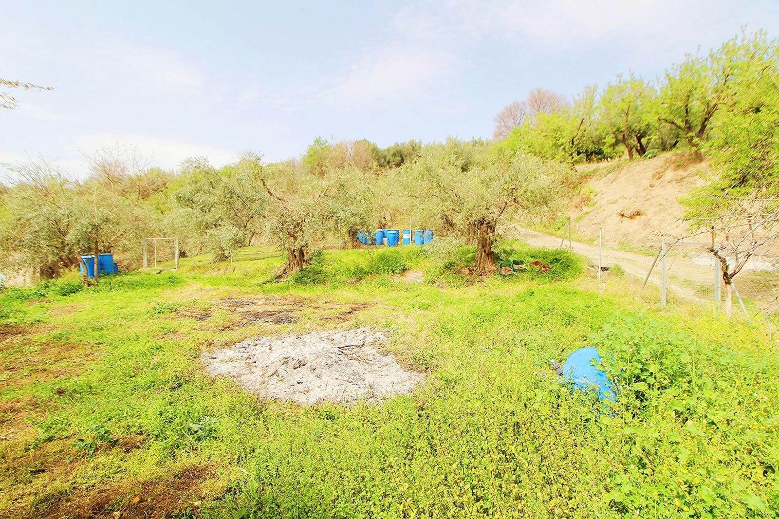 Ubebygd land til salgs i Granada by - € 44 950 (Ref: 8201905)