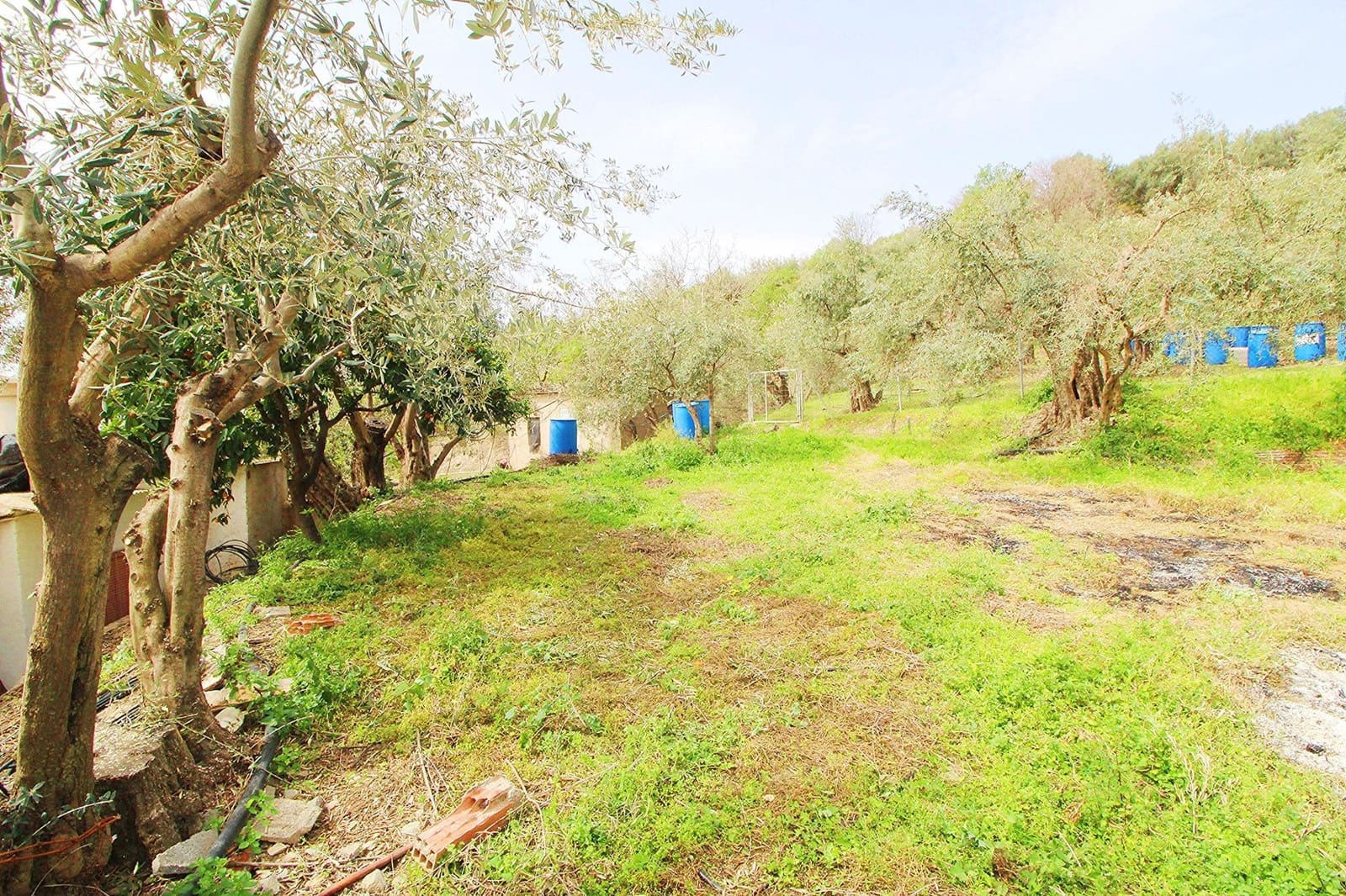 Ubebygd land til salgs i Granada by - € 44 950 (Ref: 8201905)