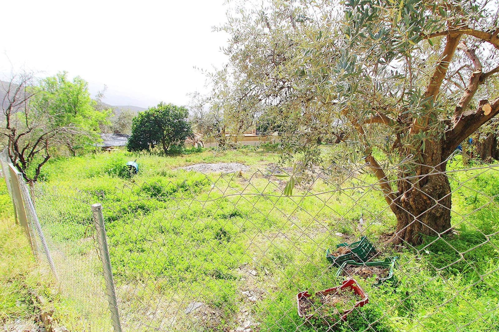 Ubebygd land til salgs i Granada by - € 44 950 (Ref: 8201905)