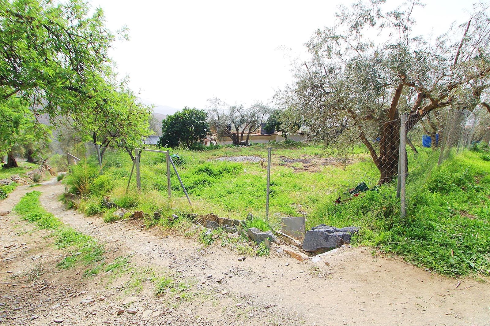 Ubebygd land til salgs i Granada by - € 44 950 (Ref: 8201905)