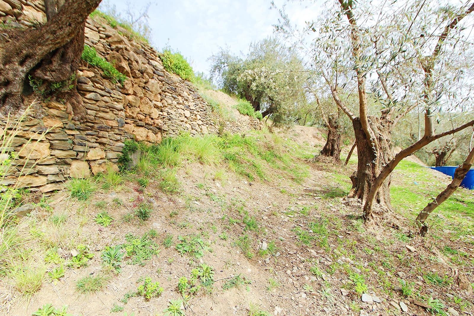 Ubebygd land til salgs i Granada by - € 44 950 (Ref: 8201905)