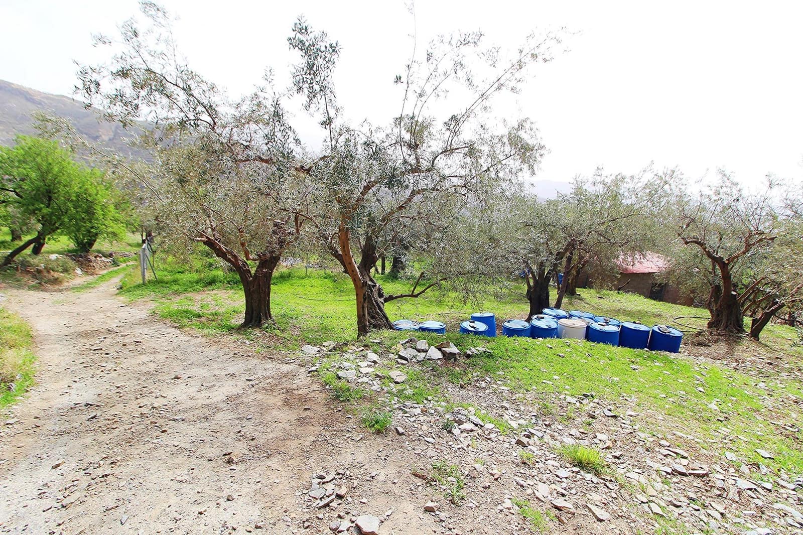 Ubebygd land til salgs i Granada by - € 44 950 (Ref: 8201905)