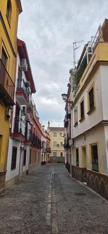 1 chambre Appartement à vendre à Séville ville - 174 900 € (Ref: 9141741)