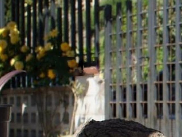 4 chambre Maison de Ville à vendre à Malgrat de Mar - 219 000 € (Ref: 9203770)