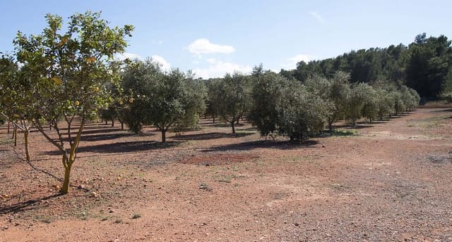 5 bedroom Townhouse for sale in Sant Joan de Labritja with garage - € 2,650,000 (Ref: 9203992)