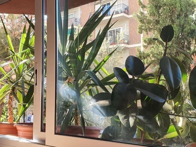 4 bedroom Flat for sale in El Camp d'en Grassot i Gràcia Nova, Barcelona city - € 580,000 (Ref: 9269005)