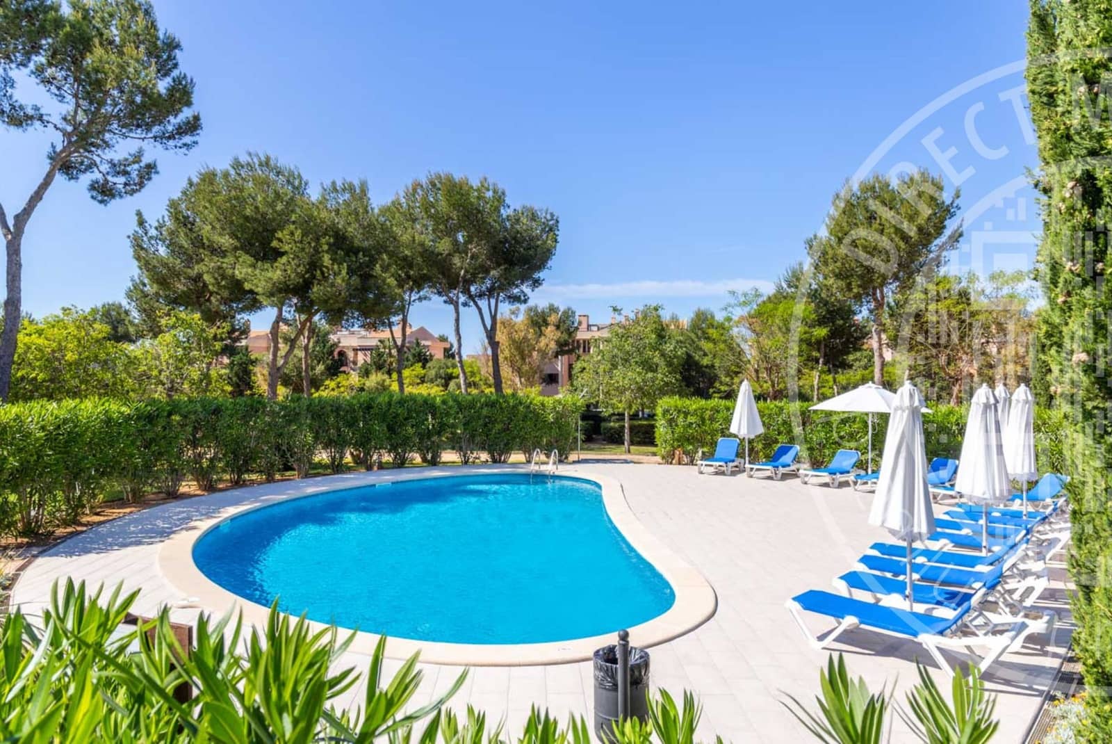 2 bedroom Apartment for rent in El Toro / Port Adriano with pool garage - € 2,500 (Ref: 9553101)