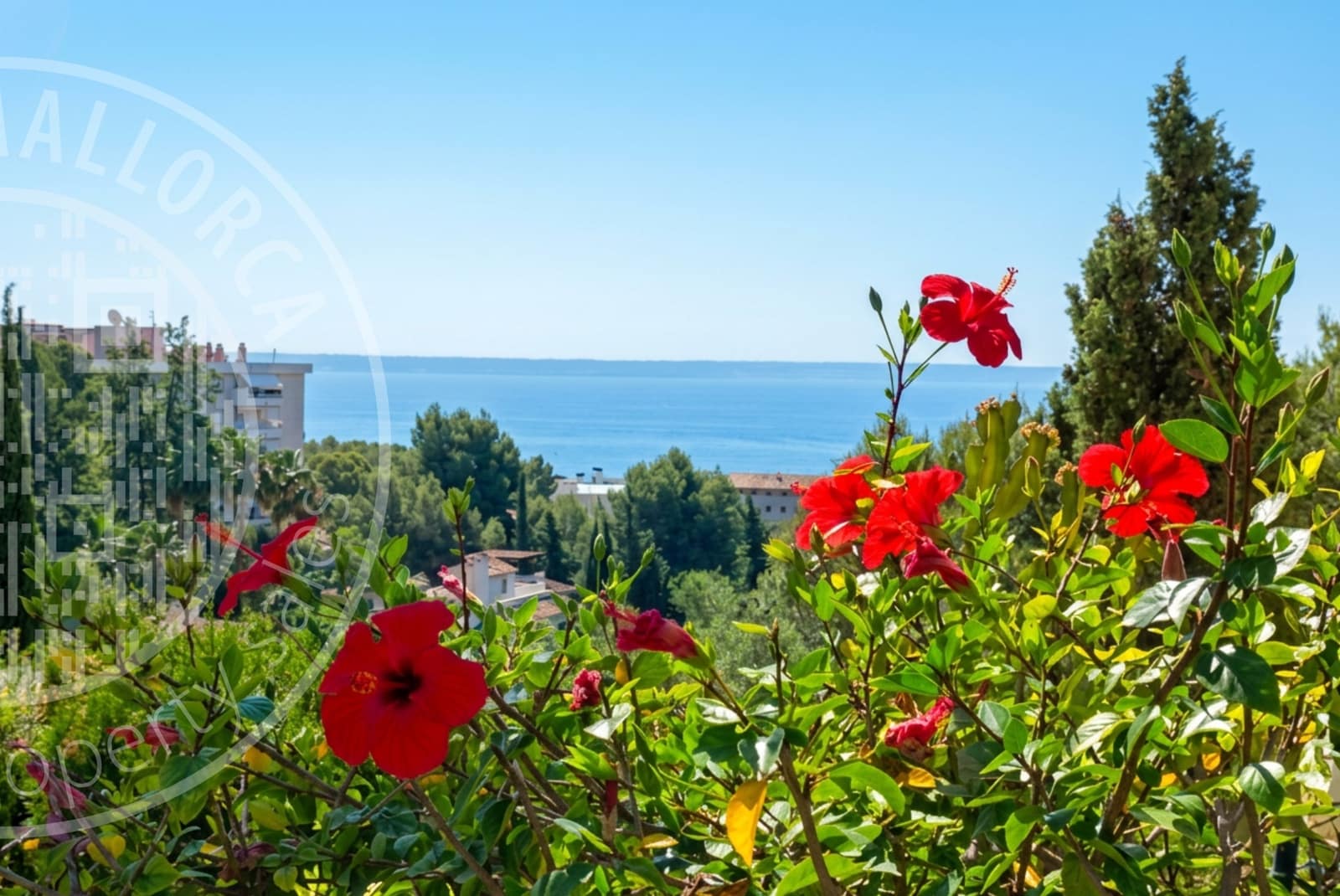 3 chambre Appartement à vendre à Cas Catala avec piscine garage - 850 000 € (Ref: 9872489)